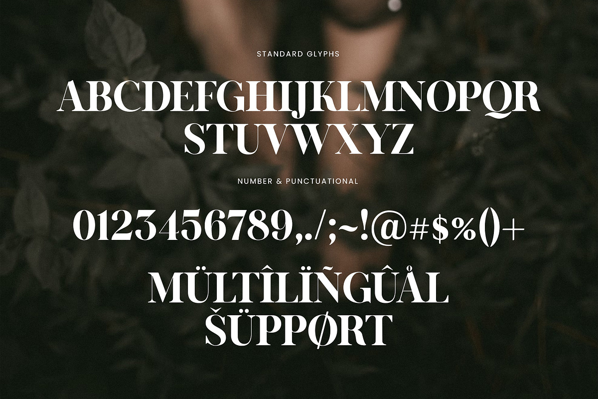 Kalins Elegant Ligature Serif Font, a Serif Font by Graphicxell (Photo 7 of 8)