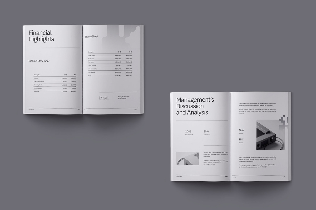Technology Annual Report - Conneq preview 4