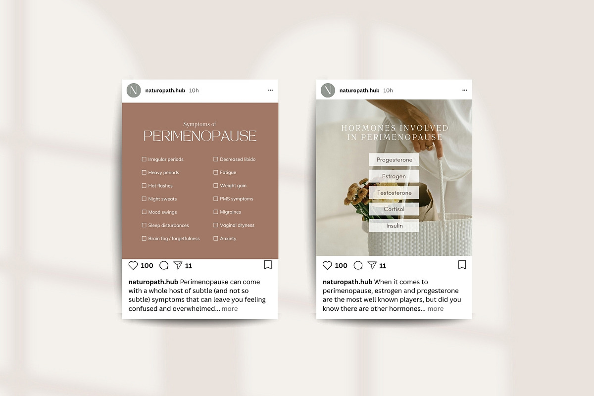 Menopause Template Bundle, a Social Media Template by Naturopath Hub (Photo 6 of 10)