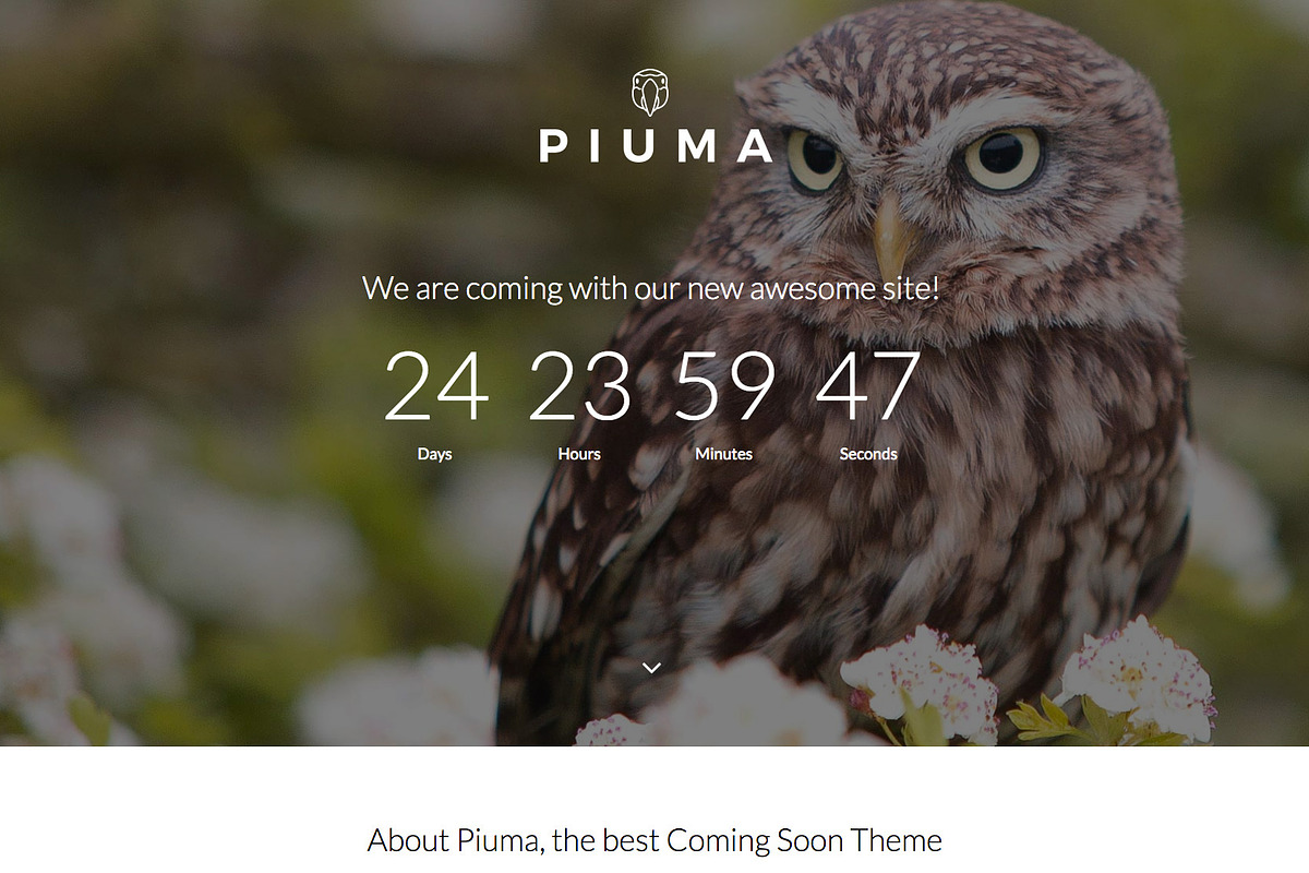 PIUMA - Multipurpose Countdown Theme, a HTML Template by SRPACDY (Photo 6 of 7)