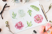 Watercolor Peonies set, a Decorative Illustration by BrushArtDesigns (Thumbnail 2 of 9)