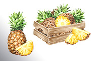 Tropical Pineapple. Hand painted, a Food Illustration by Daria Ustiugova (Thumbnail 25 of 28)