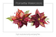 Poinsettia Watercolor Flowers, a Seasonal Illustration by Studio Meraki (Thumbnail 1 of 4)
