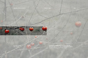 Nagomi - Japanese Paper Textures, a Texture Graphic by alonahaidash (Thumbnail 25 of 26)