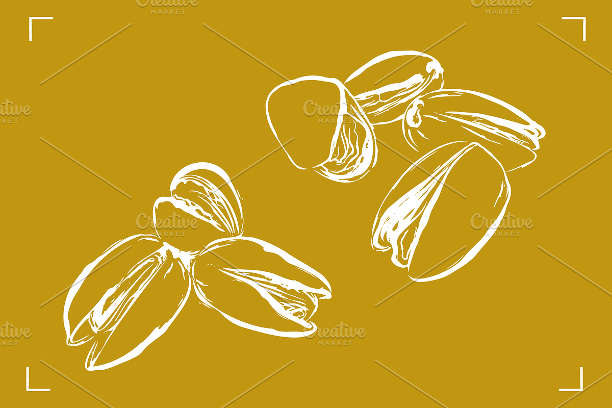 PISTACHIOS LINE ART (12+ ELEMENTS), a Food Illustration by Bonfloret Studio (Photo 3 of 7)