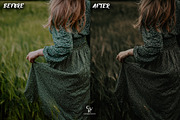 10 Moody Lightroom Presets, a Preset Add-On by CVR Presets (Thumbnail 3 of 8)