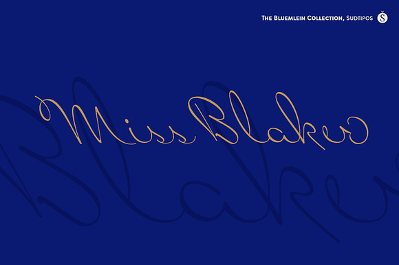 Miss Blaker Pro preview 7