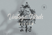Vintage Animals Bundle 300+, an Animal Illustration by Retro Machine (Thumbnail 5 of 21)
