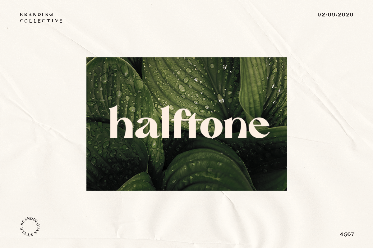 Mattire - Modern Serif Typeface, a Sans Serif Font by Dharmas Foundry (Photo 6 of 12)