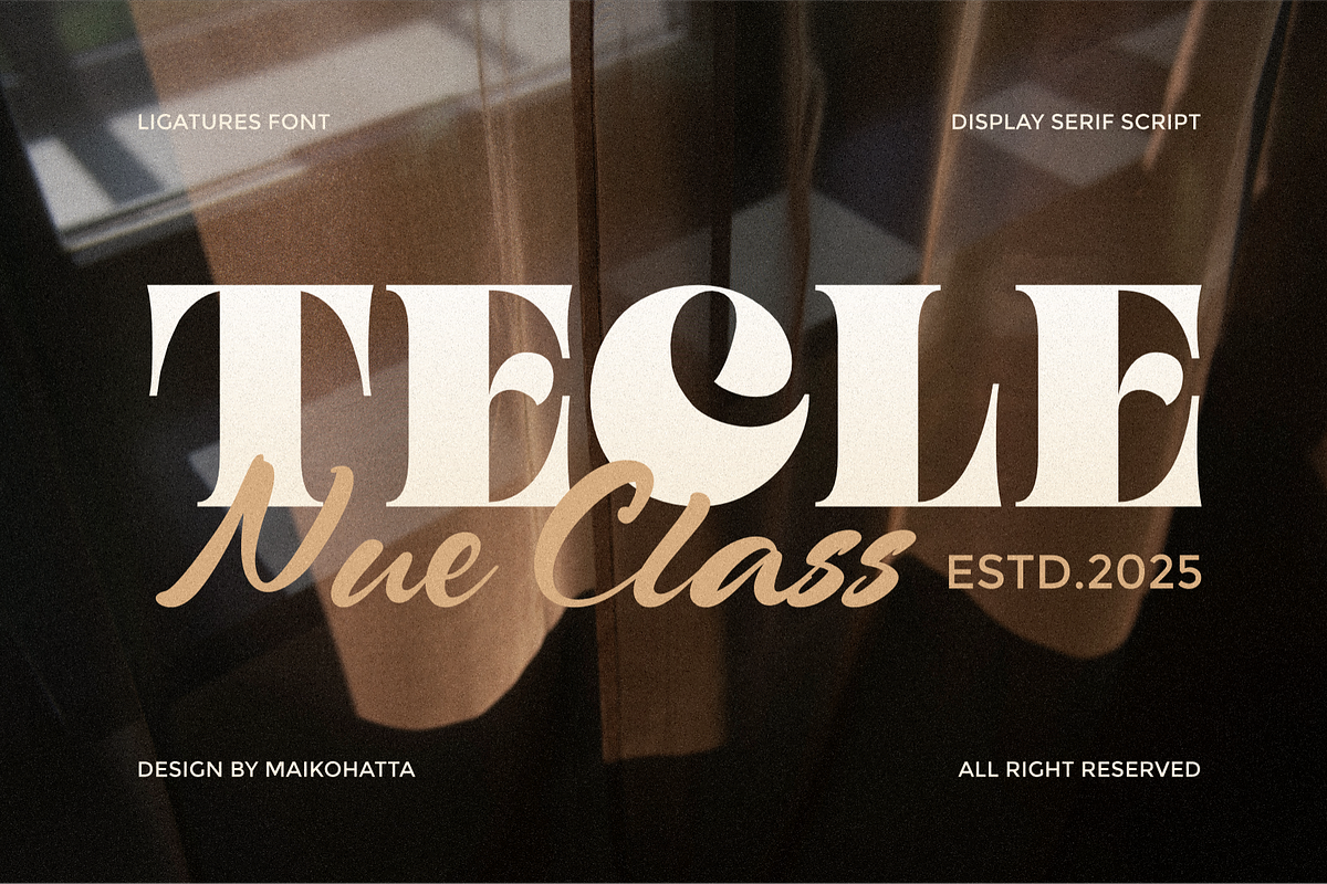 Tecle - Font Duo Typeface, a Serif Font by MaikoHatta (Photo 1 of 8)
