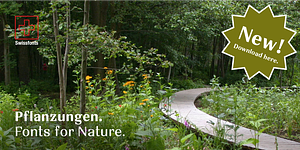Pflanzungen