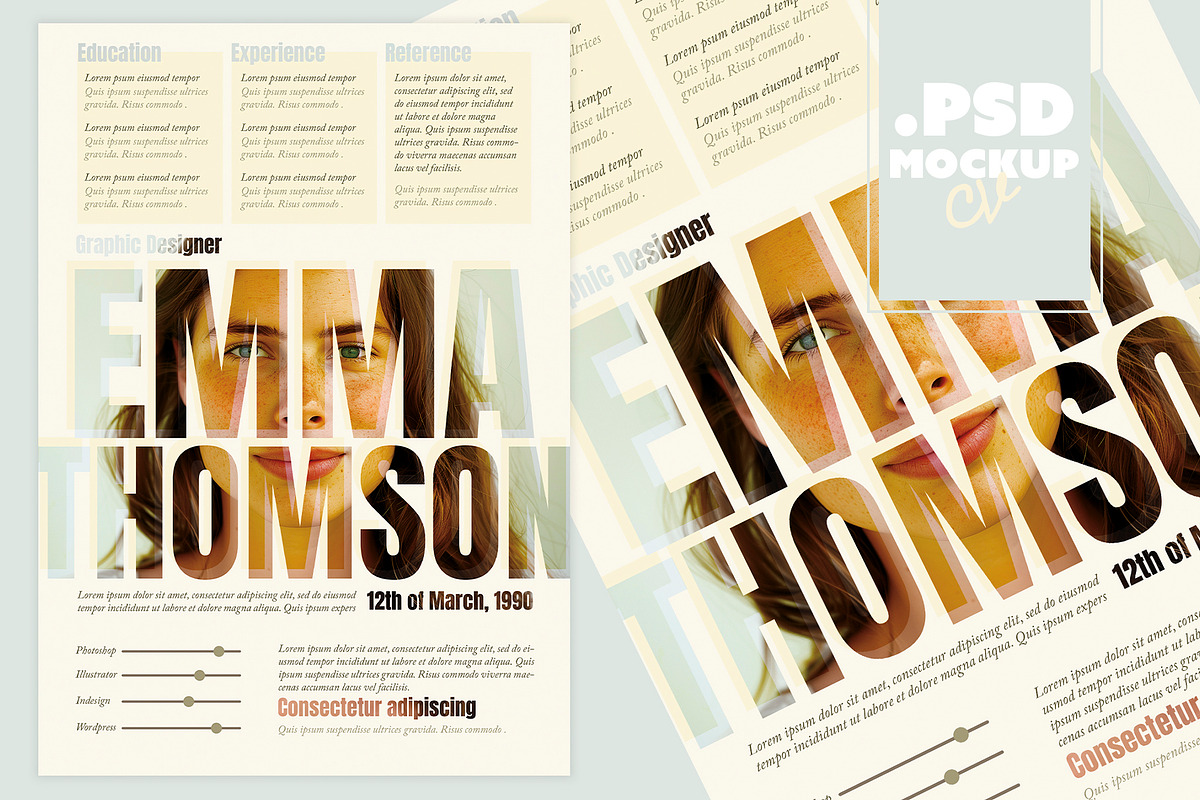Creative Resume Template CV, a Resume Template by McLittle Stock (Photo 1 of 4)