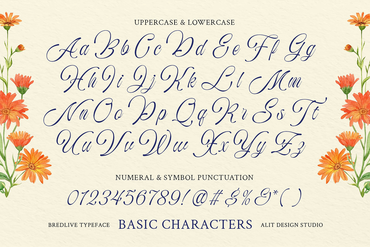 Bredlive Typeface, a Script Font by alit design (Photo 4 of 20)