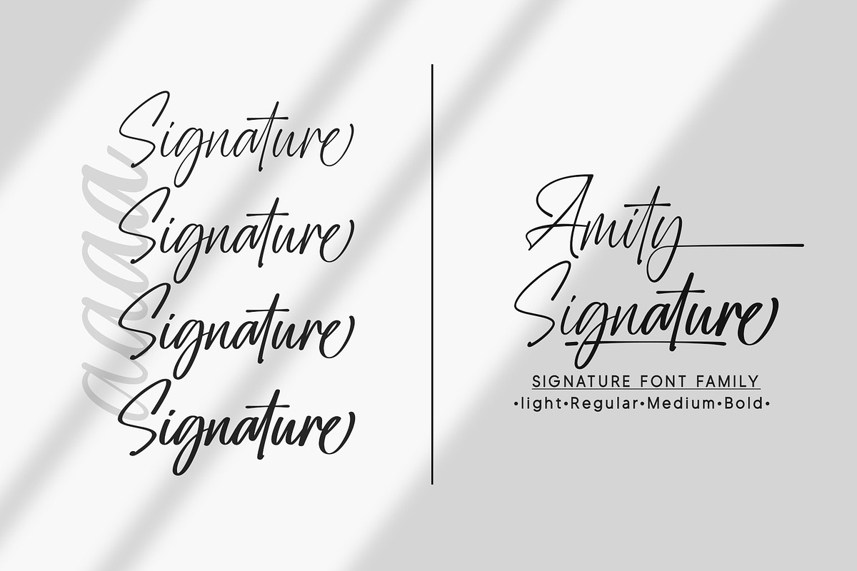 Amity | Signature Family, a Script Font by Lemonthe (Photo 2 of 9)