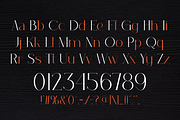 JANEETA, a Serif Font by TokoPress (Thumbnail 2 of 10)