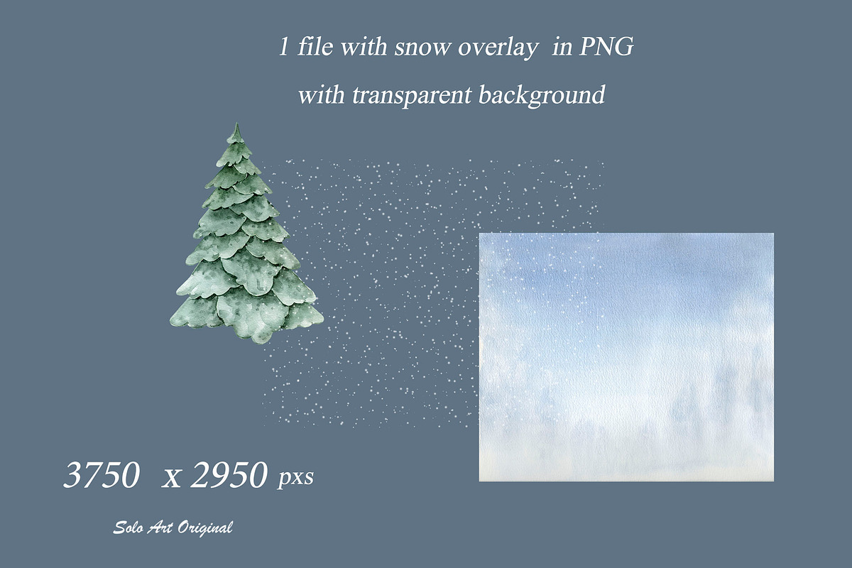 Woodland Landscape Spruce trees, an Illustration by Solo Art Original (Photo 7 of 9)