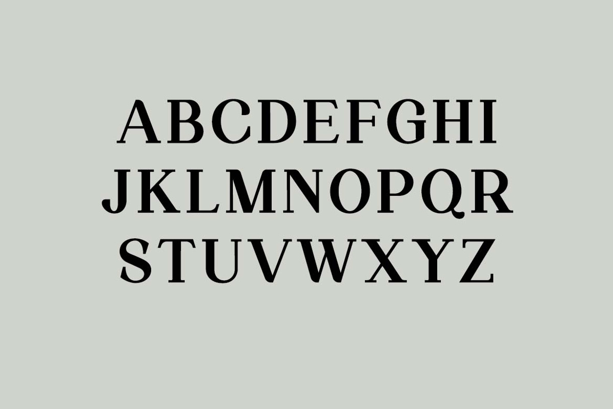 Silvex Editorial Serif Family Font, a Serif Font by UICreative (Photo 8 of 13)