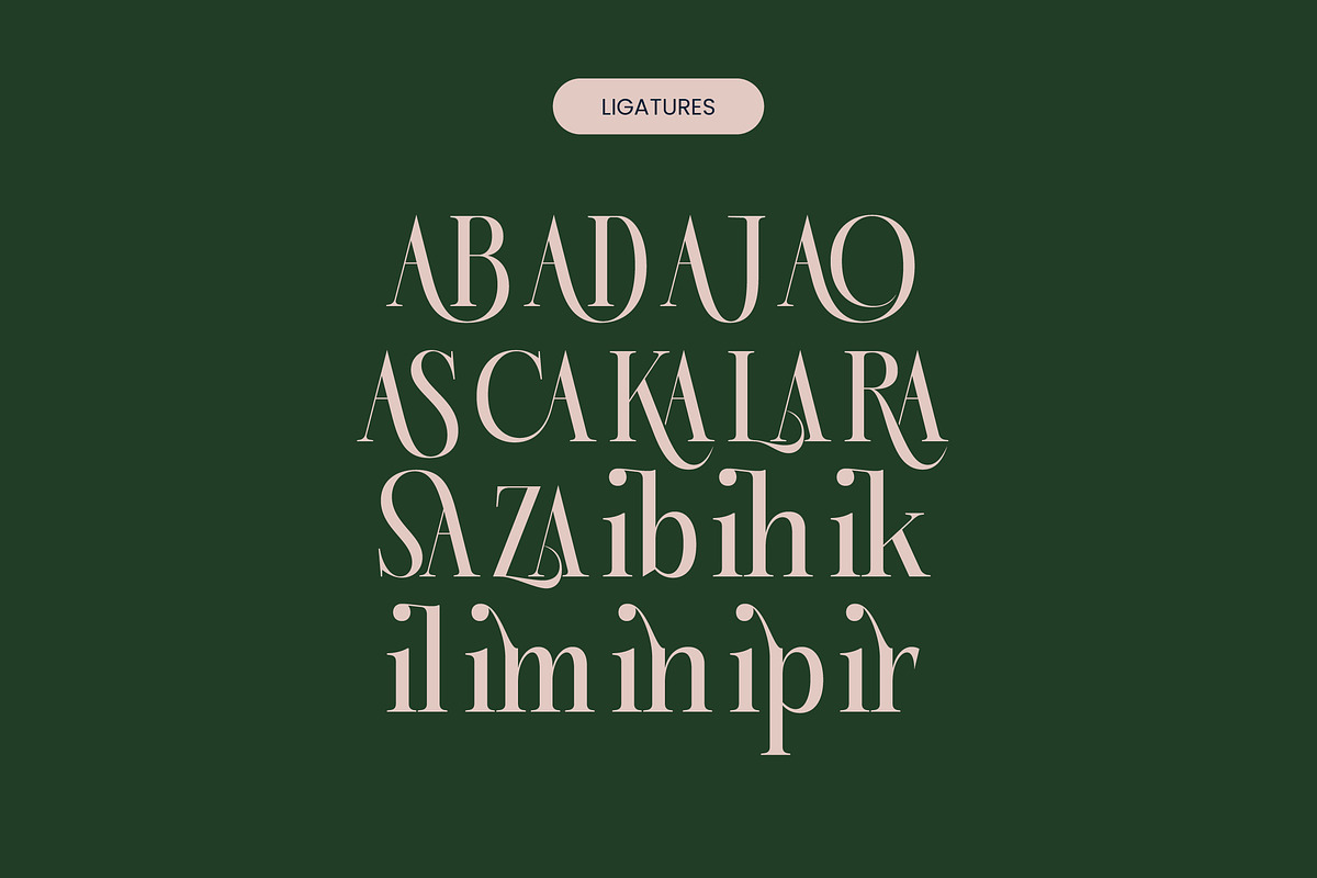 Karosa Modern Serif Display Font, a Serif Font by timelesstype.co (Photo 17 of 20)