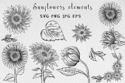 Sunflower clipart collection, an Illustration by Gennadi Digital Studio (Thumbnail 2 of 7)