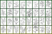 Wild Flowers Coloring Page, a Graphic by Forhadx5 (Thumbnail 8 of 15)