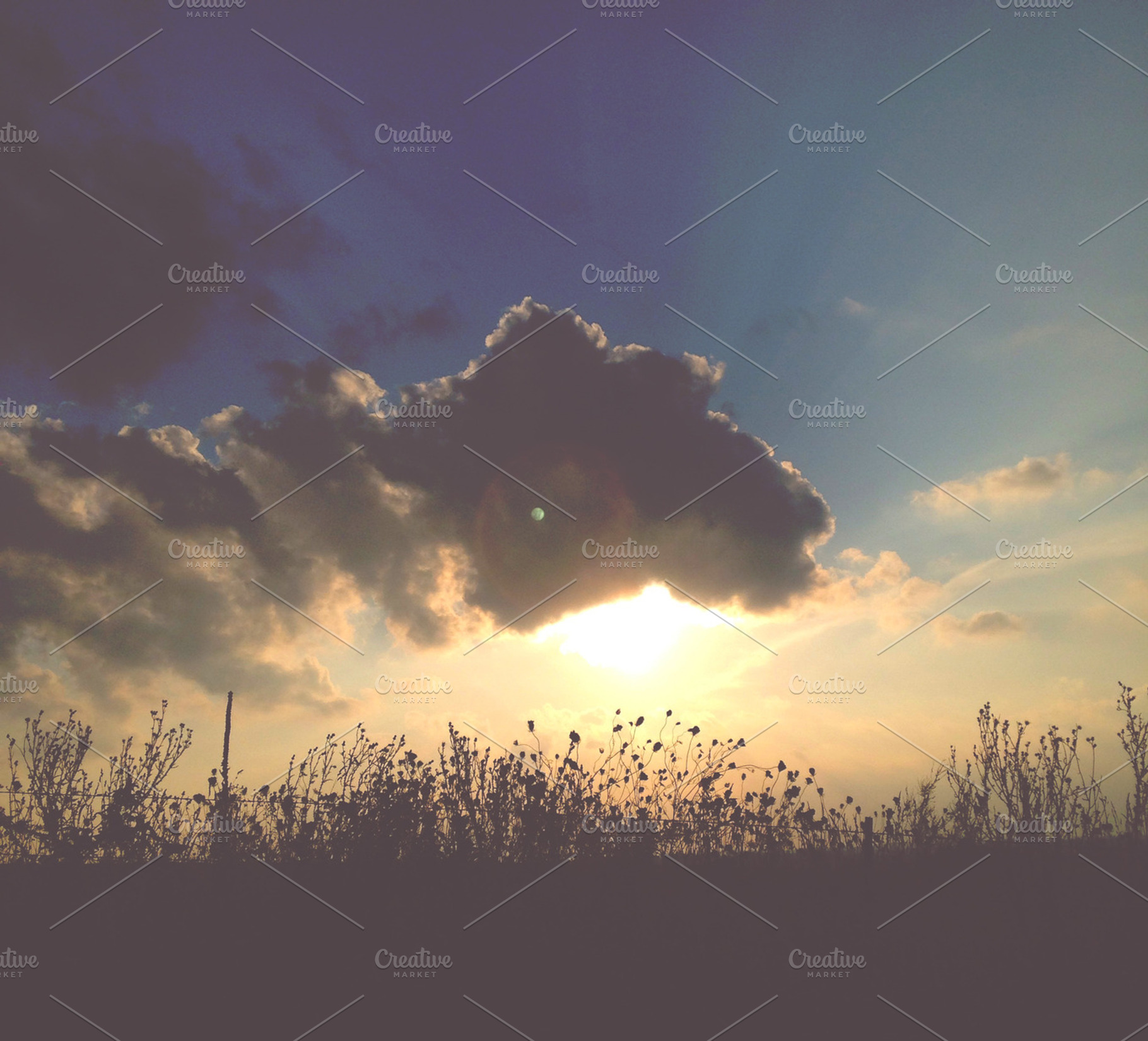 Chasing Light Containing Nature Photography And Sun