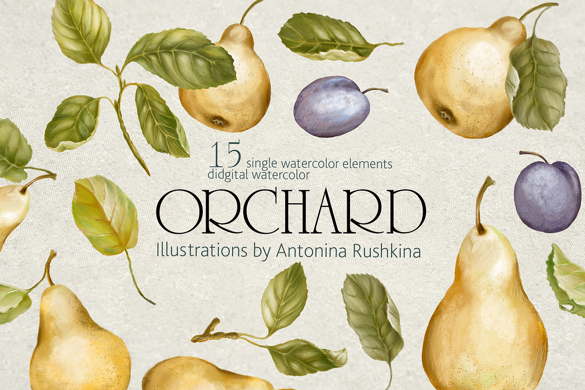 Orchard fruit. Pears and plums, an Illustration by RushkinaAntonina (Photo 3 of 4)