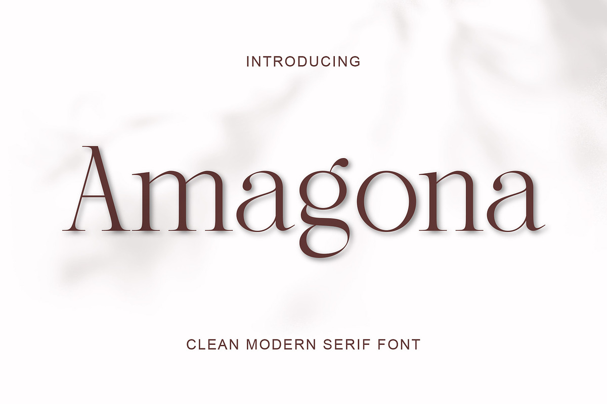 Amagona Clean Modern Serif, a Serif Font by Muflieart (Photo 1 of 10)