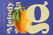 Melody Kingda Modern Retro Serif, a Serif Font by timelesstype.co (Thumbnail 6 of 15)