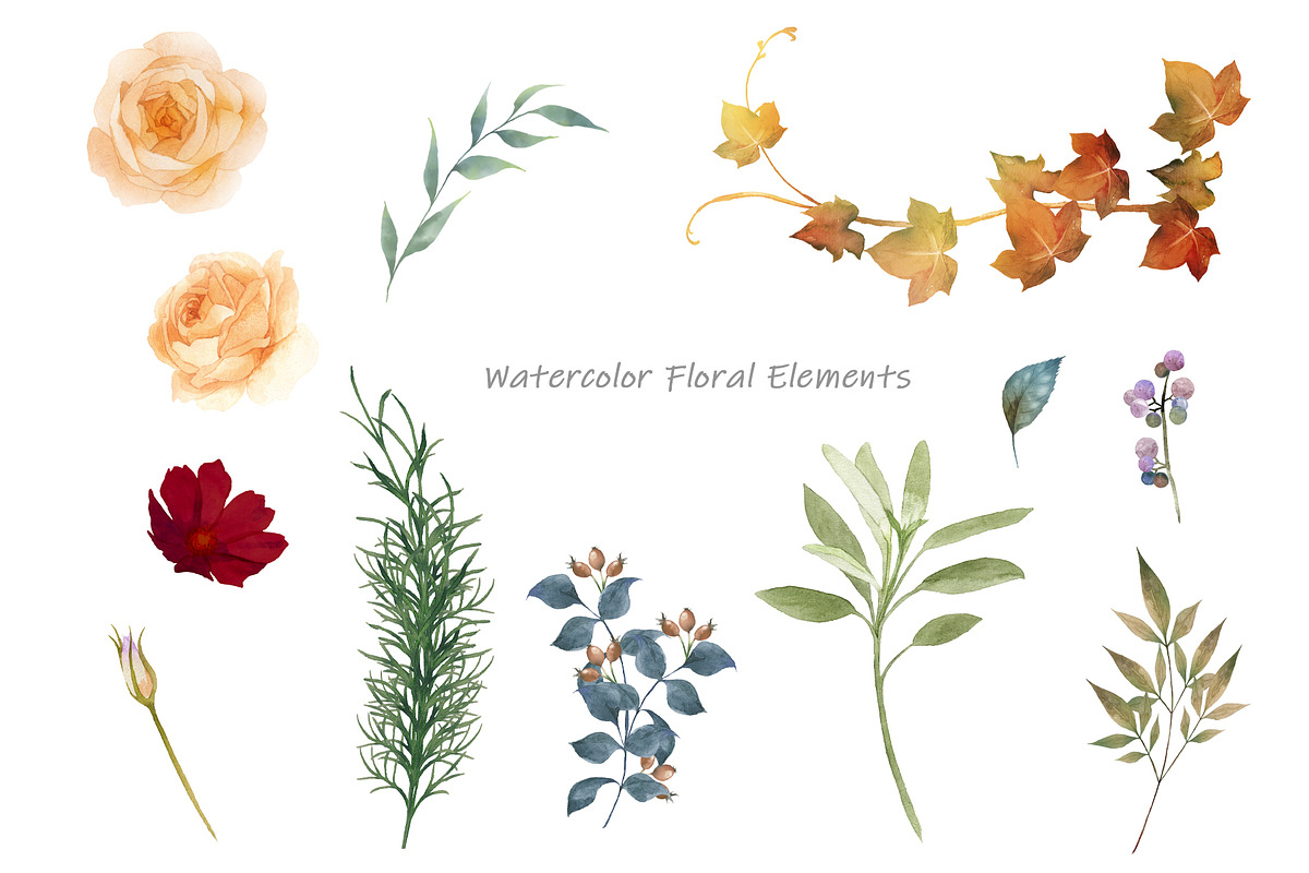 Vintage Rose Watercolor– PNG&PSD, an Illustration by Gallery House (Photo 5 of 5)