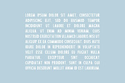 Ladoga Font, a Script Font by Anatartan Design (Thumbnail 3 of 7)