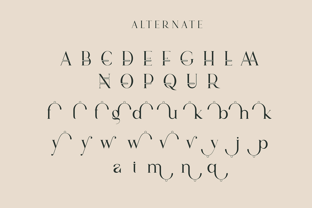 vindea Ligature Serif Typeface, a Serif Font by Humaira_std (Photo 9 of 11)