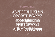VINTAGE CHAMPAGNE Modern Serif Font, a Serif Font by Blush Font Co. (Thumbnail 5 of 9)