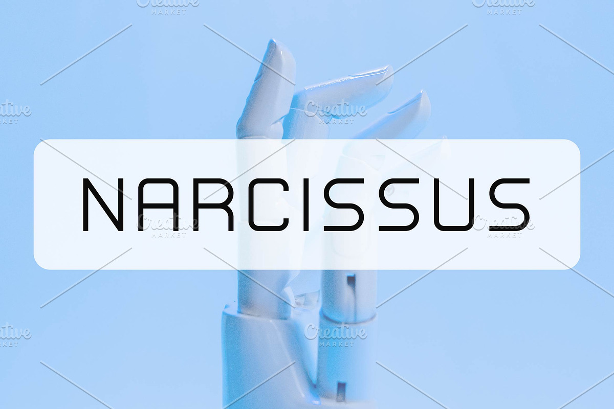 Narcissus - Minimalist Font, a Sans Serif Font by Artiveko (Photo 1 of 4)