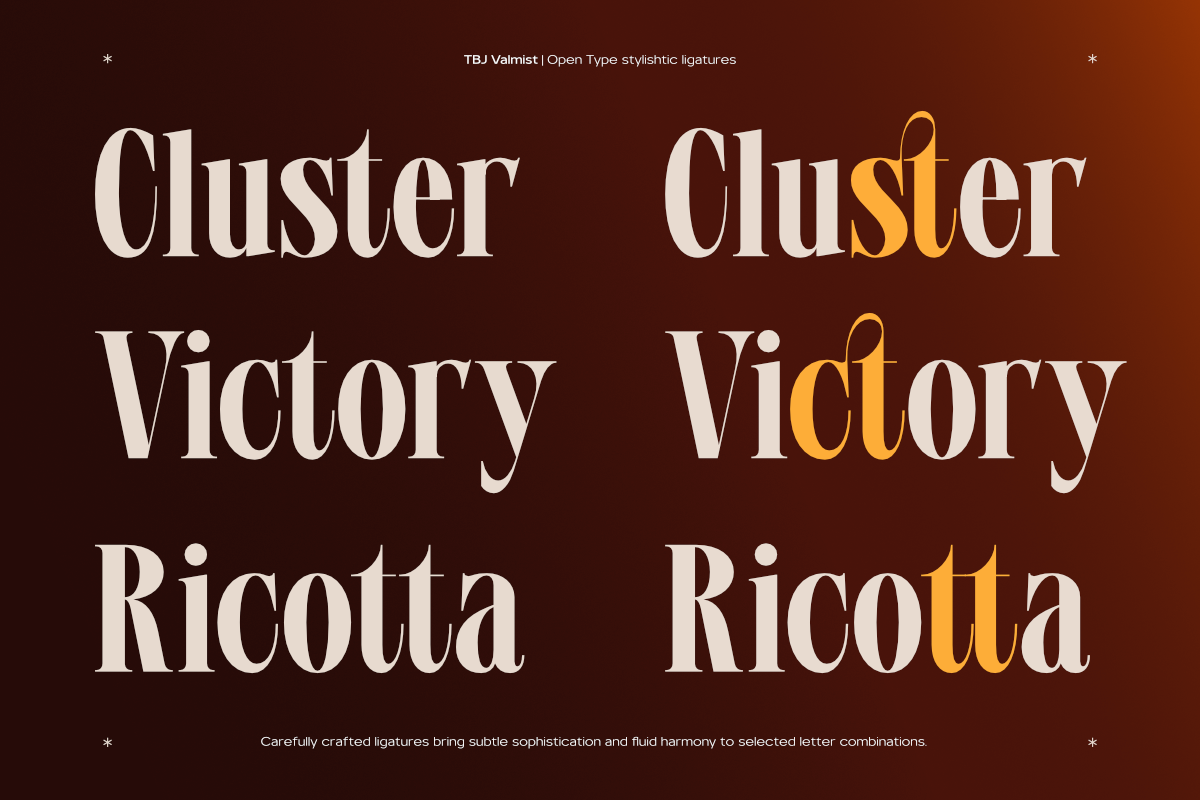 TBJ Valmist Elegant Modern Serif, a Serif Font by Taboja Studio (Photo 9 of 15)