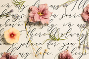 Sale 30% // Cintha Elegant Script, a Script Font by Anatadesign (Thumbnail 7 of 15)