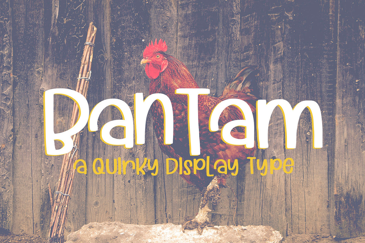 Bantam