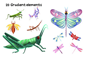 20 Vector Insects Illustrations