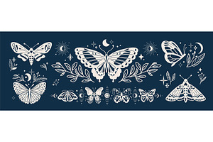 Mystic butterfly set vector, an Animal Illustration by Zaie