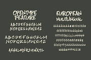 Blindshot - Wild Style Brush Fonts, a Handwritten Font by Crump Hand (Thumbnail 5 of 5)