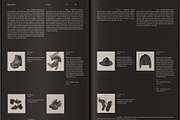 Product Brand Magazine⸻Hedda Light, a Magazine Template by Studio Viita (Thumbnail 11 of 12)