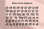 Atlas Grove-Alternates and Ligatures, a Serif Font by Zane Studio (Thumbnail 19 of 22)