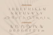 Effectas, a Serif Font by Rishsketch (Thumbnail 10 of 13)