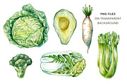 Green Vegetables. Watercolor Bundle, an Illustration by Olga Olmix (Thumbnail 3 of 10)