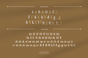 Sabiant – Luxury Ligature Serif Font, a Serif Font by Krismagraph (Thumbnail 8 of 12)