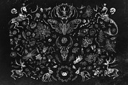 Gothic Princess, a Pattern Graphic by OlgaSoi007 (Thumbnail 2 of 13)