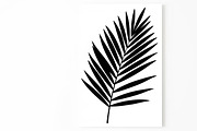 Stylish tropical palm wall decor, an Illustration by Amazin_art (Thumbnail 29 of 33)