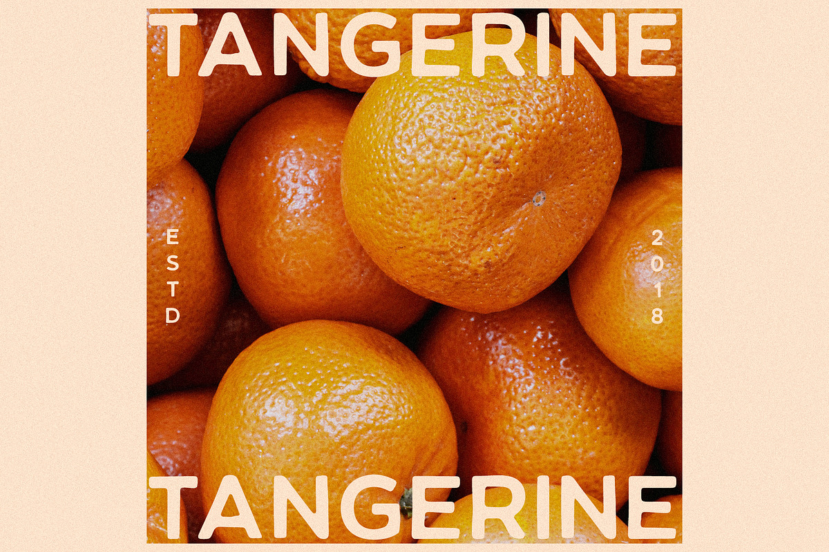 CITRUS GARDEN - vintage sans serif, a Sans Serif Font by Misha Sova (Photo 7 of 11)