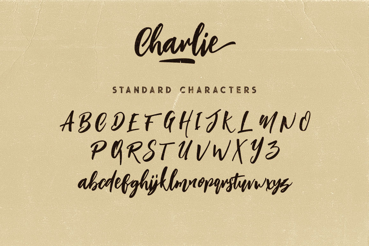 Charlie Script Font preview 6