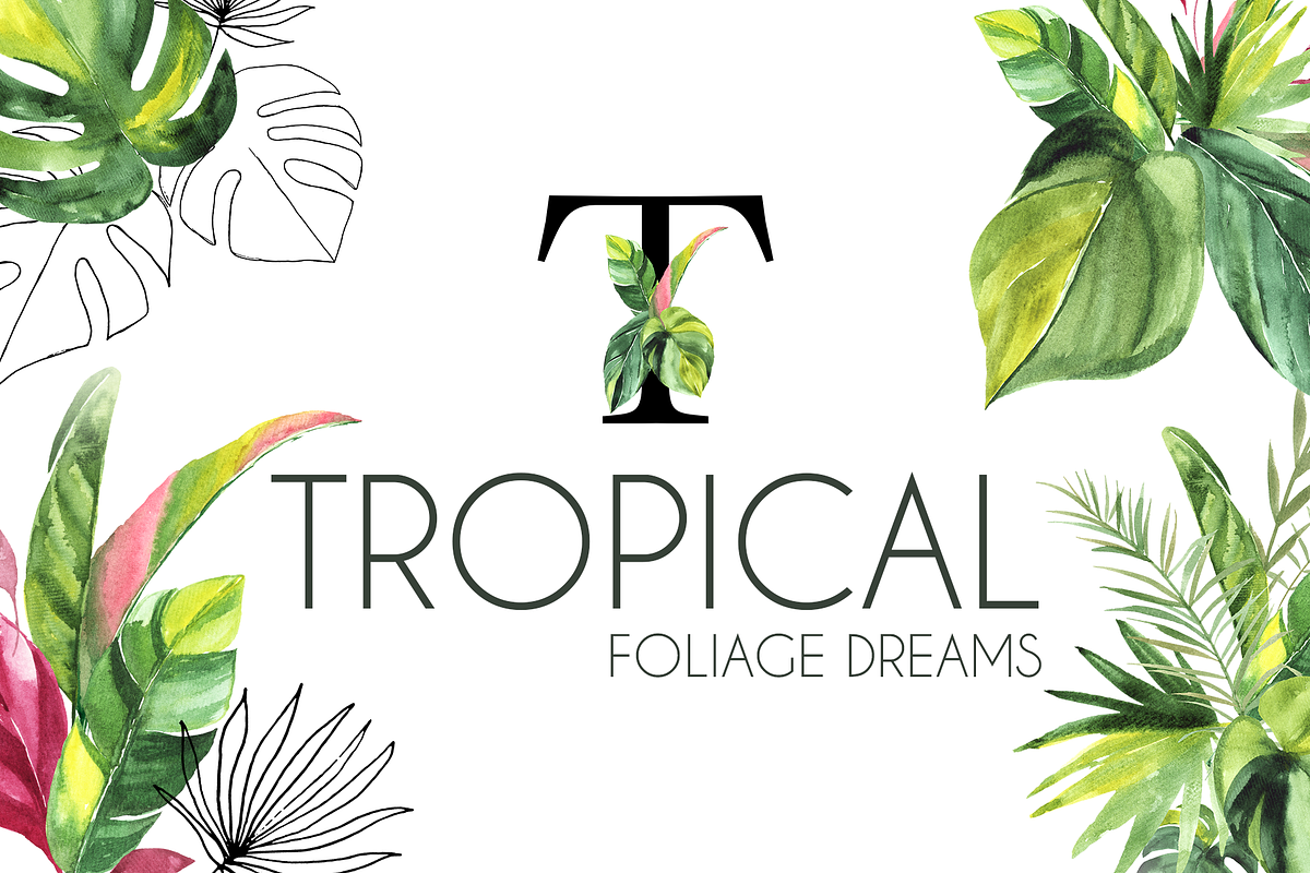 Tropical Foliage Watercolor set, a Decorative Illustration by Liliia Polos Illustration (Photo 1 of 14)