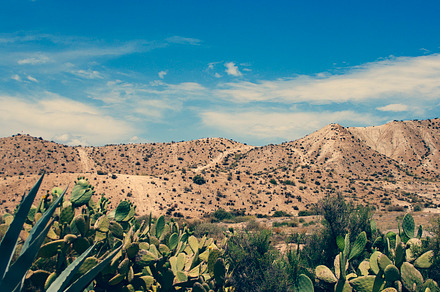 Desert featuring desert, holidays, and sand, a Nature Photo by Neo Ink Design